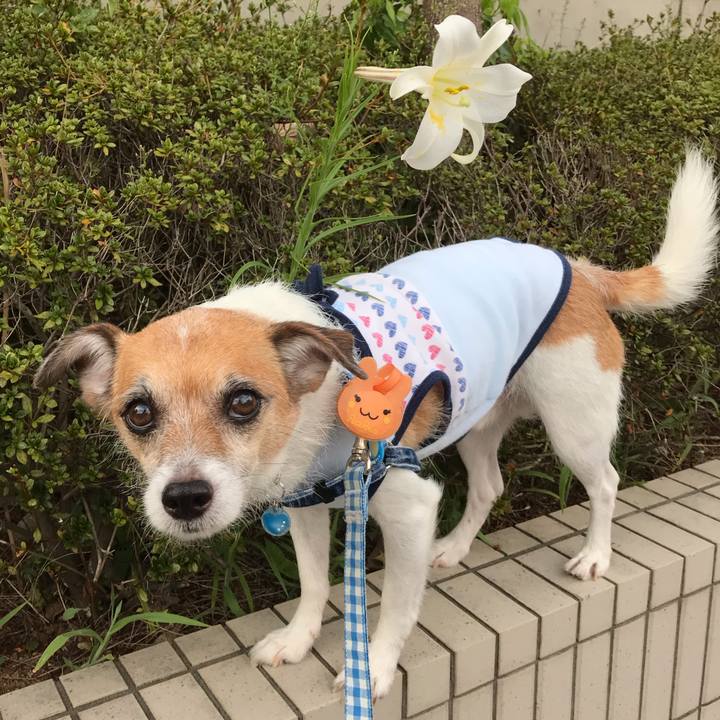 6d135c95 b31f 4216 ada9 aa8f5151d5ef 1566639903379