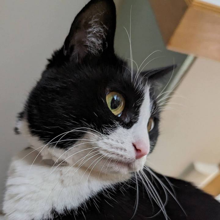 6d135f72 eaf2 4084 9cfb 78507598115b 1707365549254