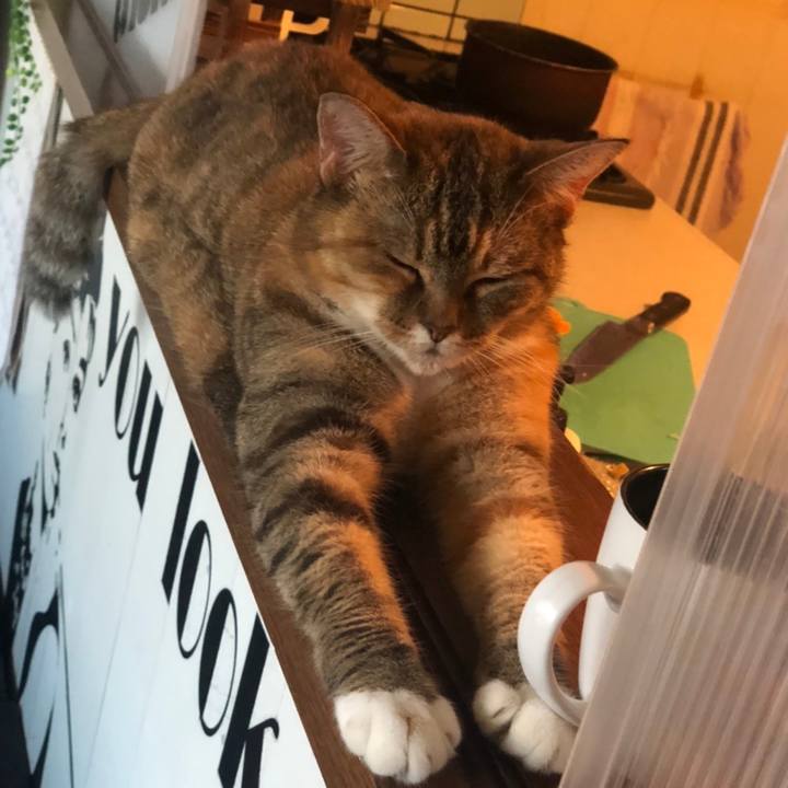 6d136852 78bc 47cb 8b6d efe7806d8d8a 1595812972239