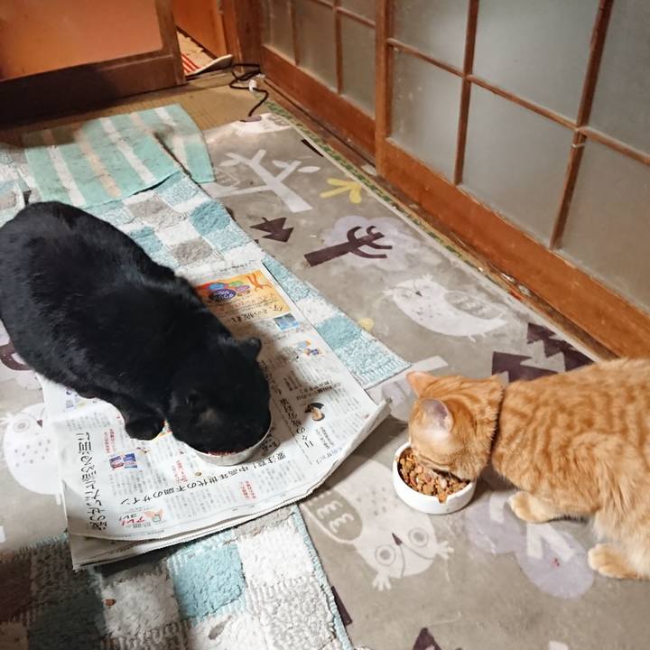 6d136ee7 cc82 4e29 beed a3abf93df314 1647087816259