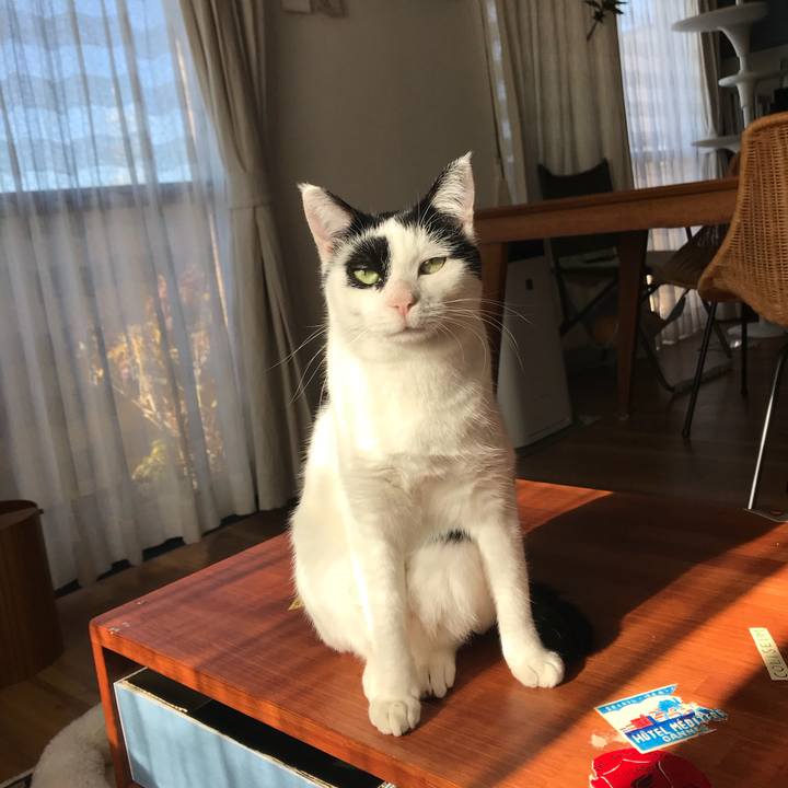 6d13d44b 58e2 4665 86f5 4aeef9a93a1b 1515032082282