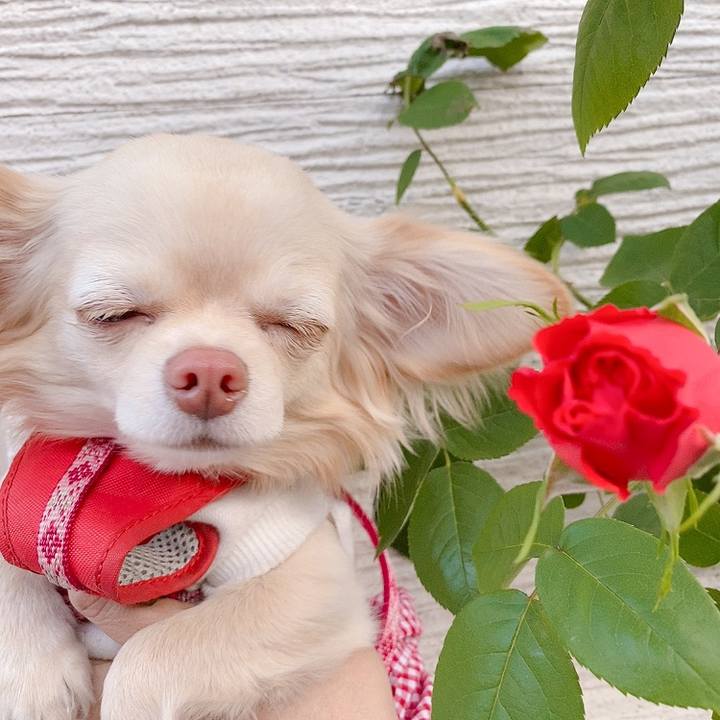 6d13dd26 4304 4c77 af59 776be2fdb4a4 1619001338131