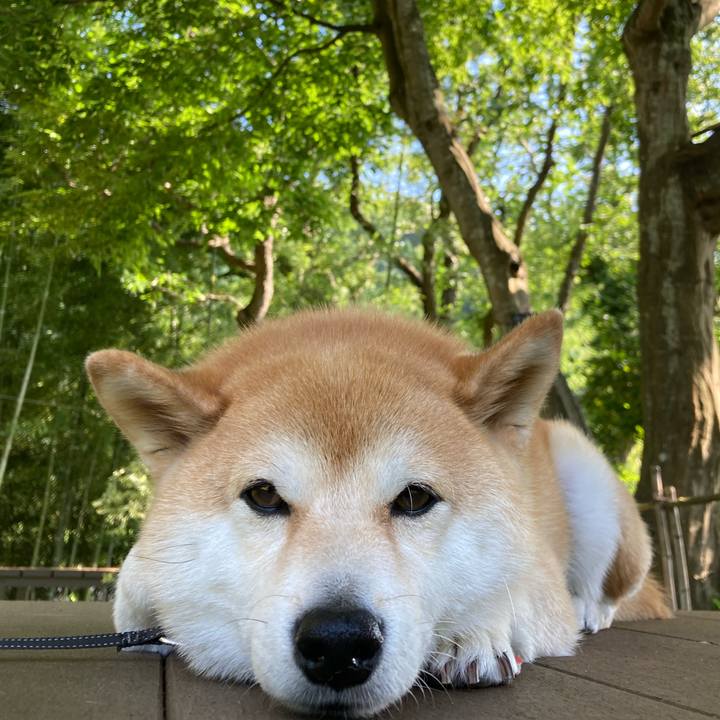 6d13f254 b542 43e2 b4be 7fc3bf79e3bd 1721629808808