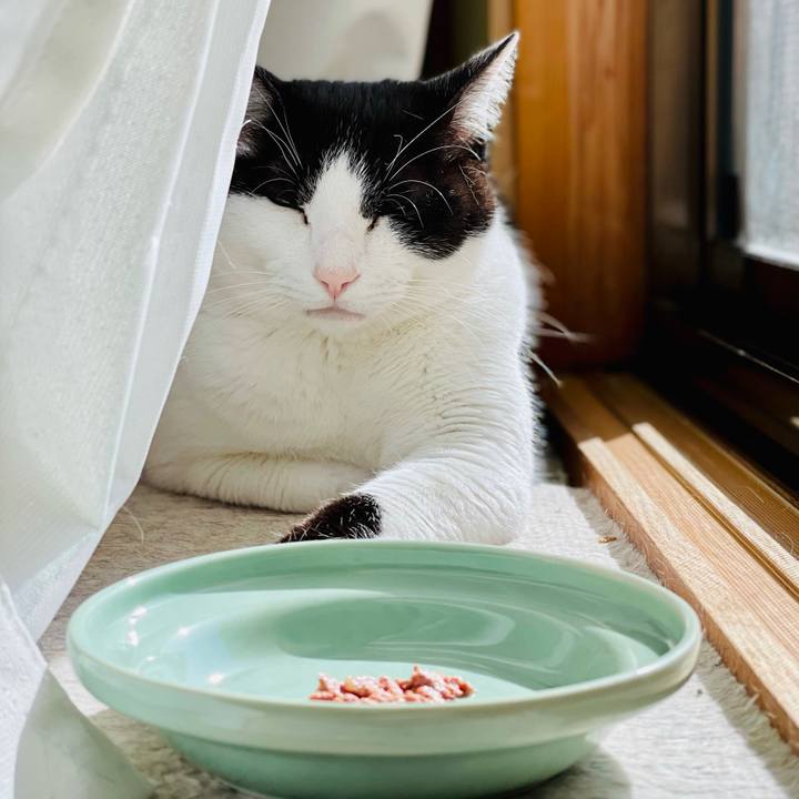 6d14266e e3fe 4ac9 a255 b5de41cbb5a4 1620267375223