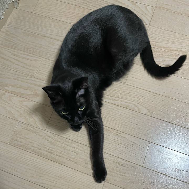 6d14339d cf29 4cec afef 4c106eadde07 1732788469258