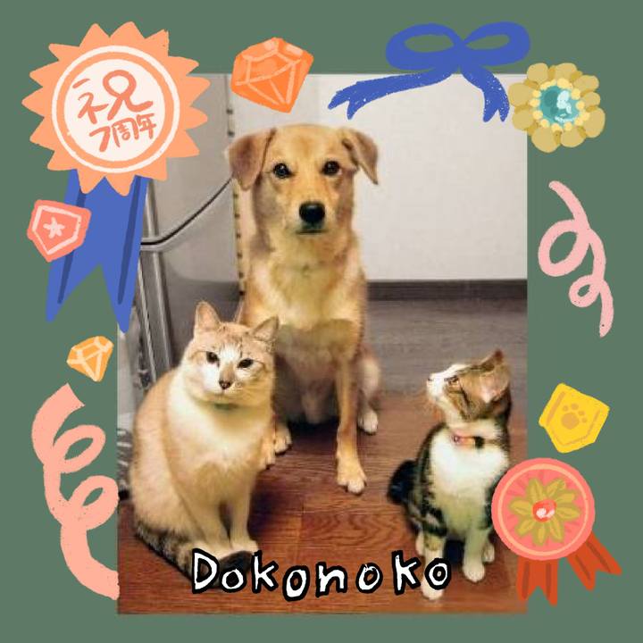 6d1446fe df92 4be4 b428 3b74c6242b2d 1686013012013