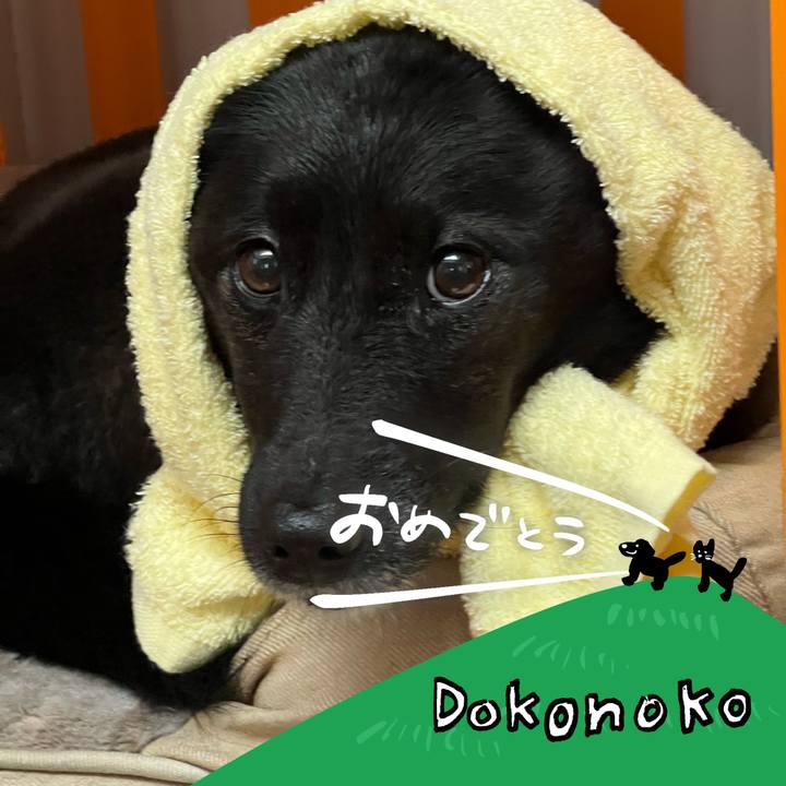 6d144d1d 1c4a 483a 8312 7f386e10d0dd 1685965176631