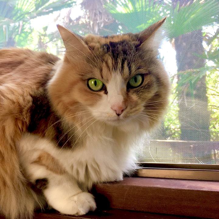 6d145cb0 53fe 405e 9987 973a643c4557 1584948545013