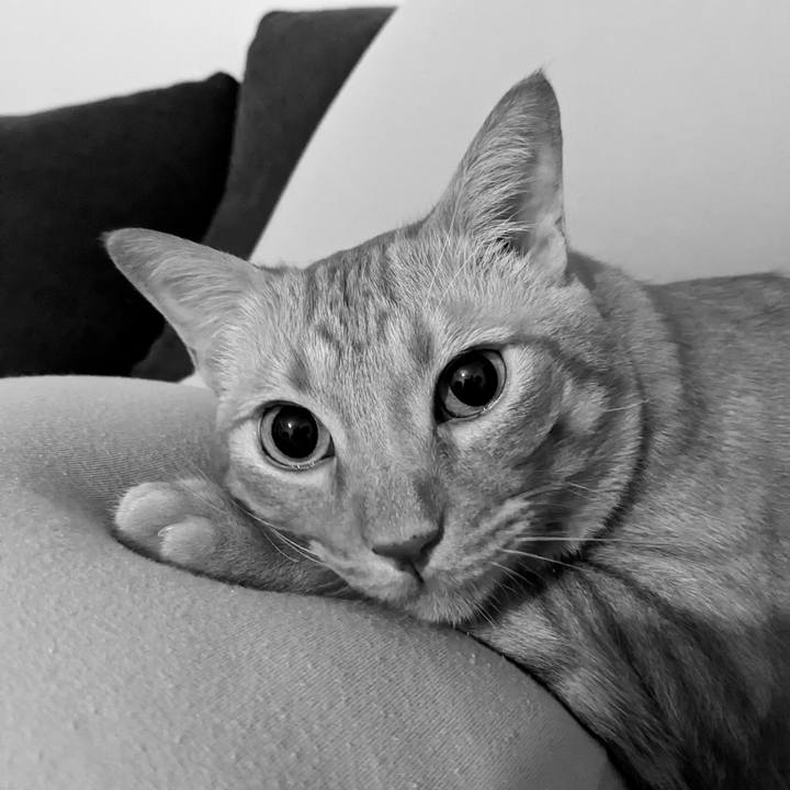 6d14719d 5282 4be6 bdb5 f9f45eca4459 1665711077503