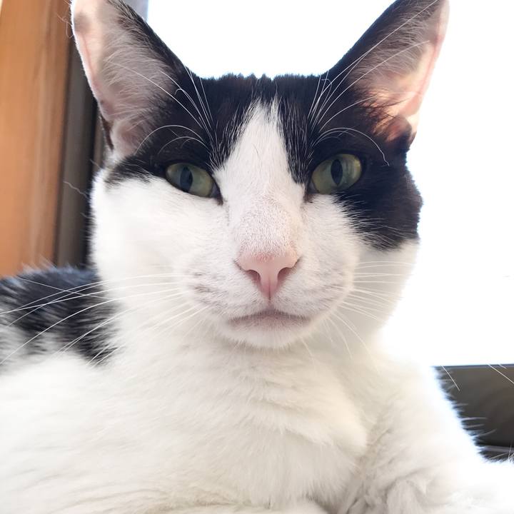 6d149688 1f7c 4188 8290 7701d012d1fb 1530024142312