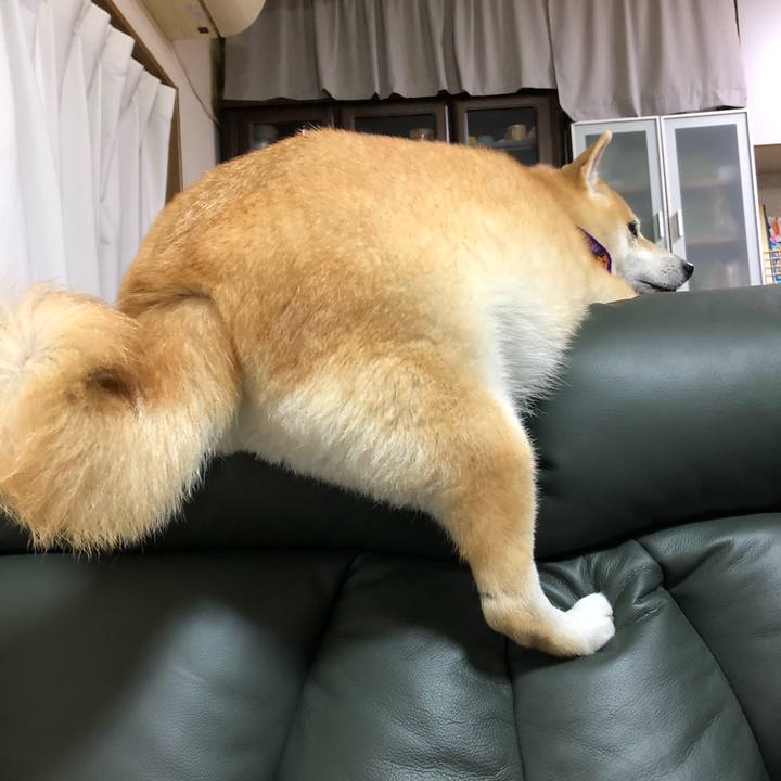 6d14a0ed c05d 4107 8eea cfe2e34c2742 1572006147421