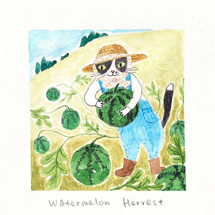 6d150510 8672 4733 bd77 e581bd20f6a2 1690939383292