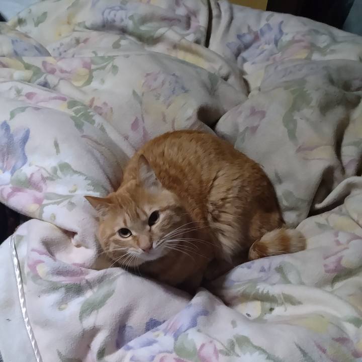 6d15146b 7881 4f59 8906 fe84f4100eaf 1678794840677