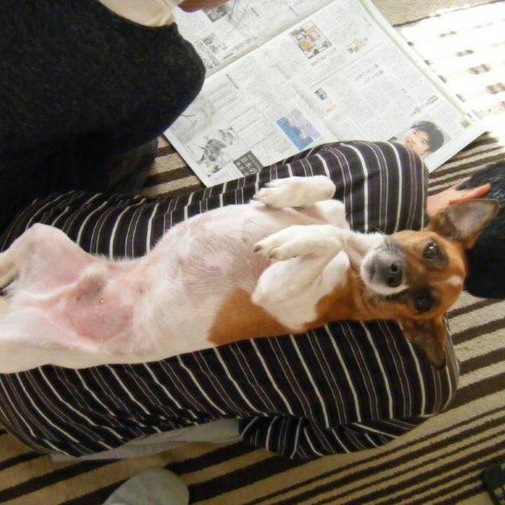 6d155428 439b 4375 b693 3105f553c204 1573439963068