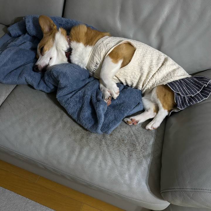 6d15706d b72a 4b82 a530 b9c732e77795 1763828816361