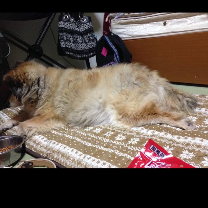 6d158a04 6ed7 45b4 bb74 7c34aad382af 1563385462351