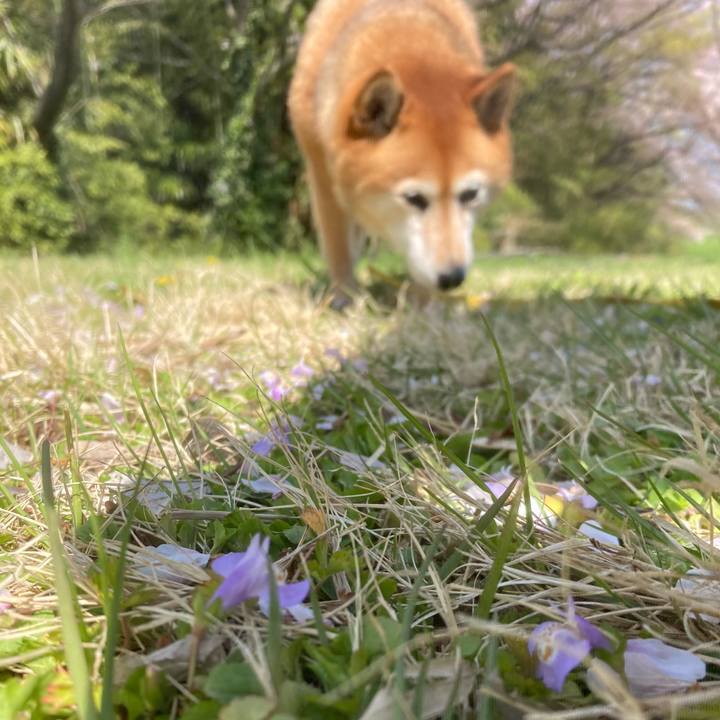 6d159bde 24f6 4ec1 80be f4e69cc23088 1649384906931