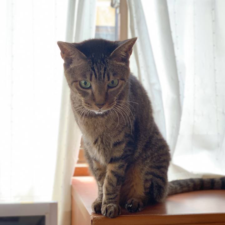 6d159e89 e465 4ff0 9b57 4421bbb14a3d 1587171997555