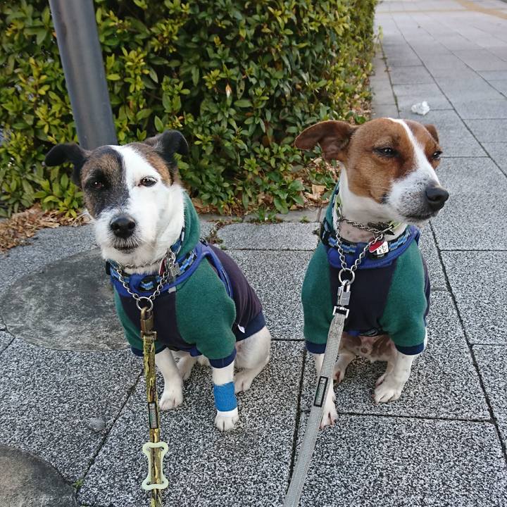 6d1600ea e6ce 43b2 bced 0d31848362dc 1612566159661