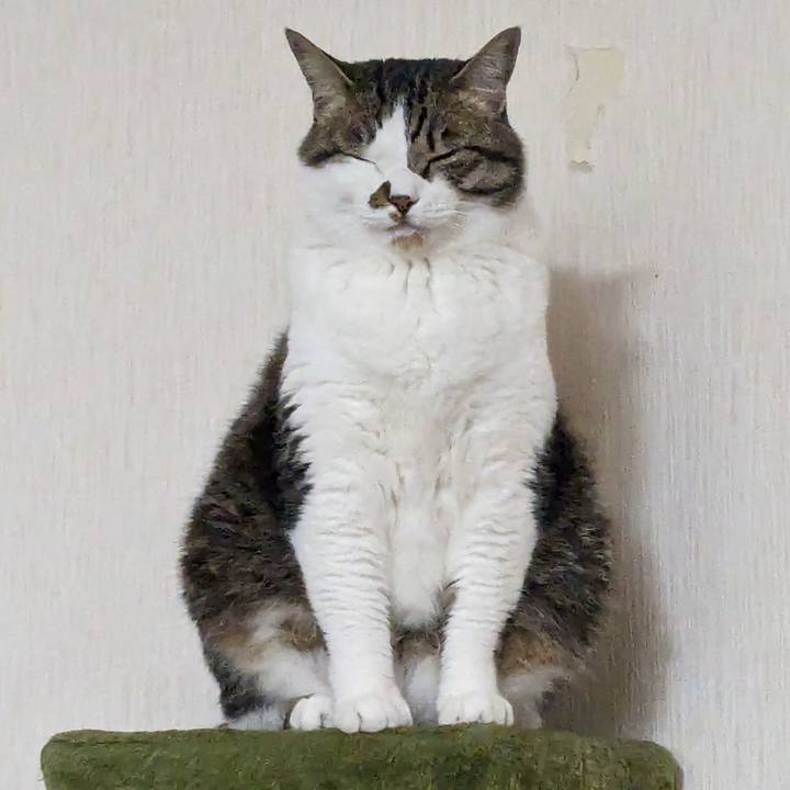 6d160319 dcd0 4cf5 a5dc e2806a2a6d36 1715635316133