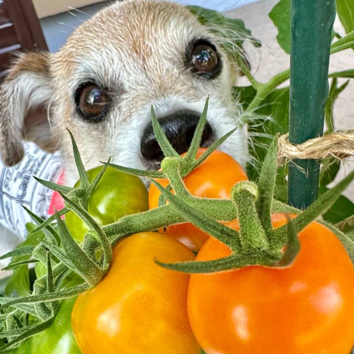 6d162b60 769b 4a9f aecb 60dfaec55d68 1718864106219