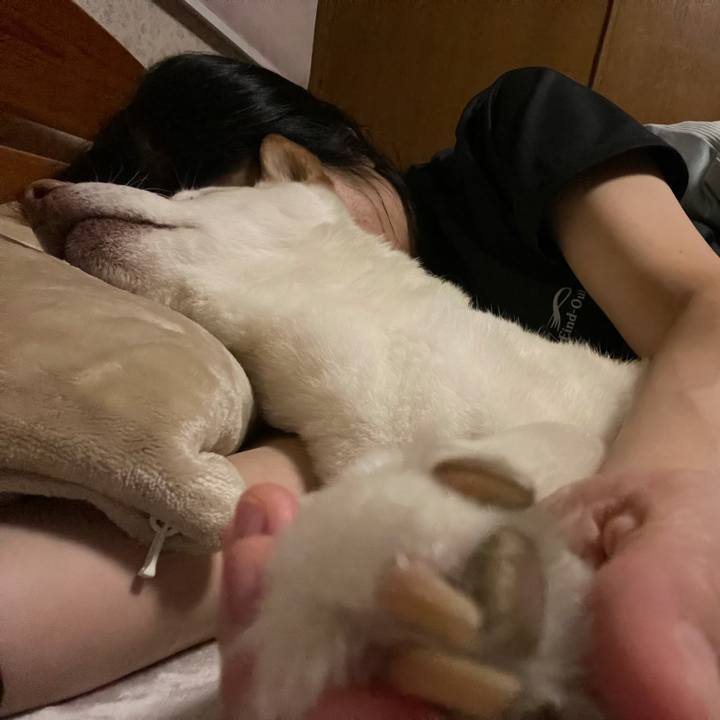 6d16336b 012a 47be a9b2 bca0cfe98ab7 1634915760220