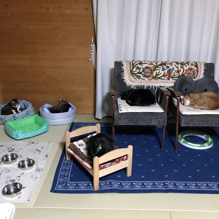 6d163a9e 0ebc 42ee 8aff 3ea1bb90689d 1525000687000