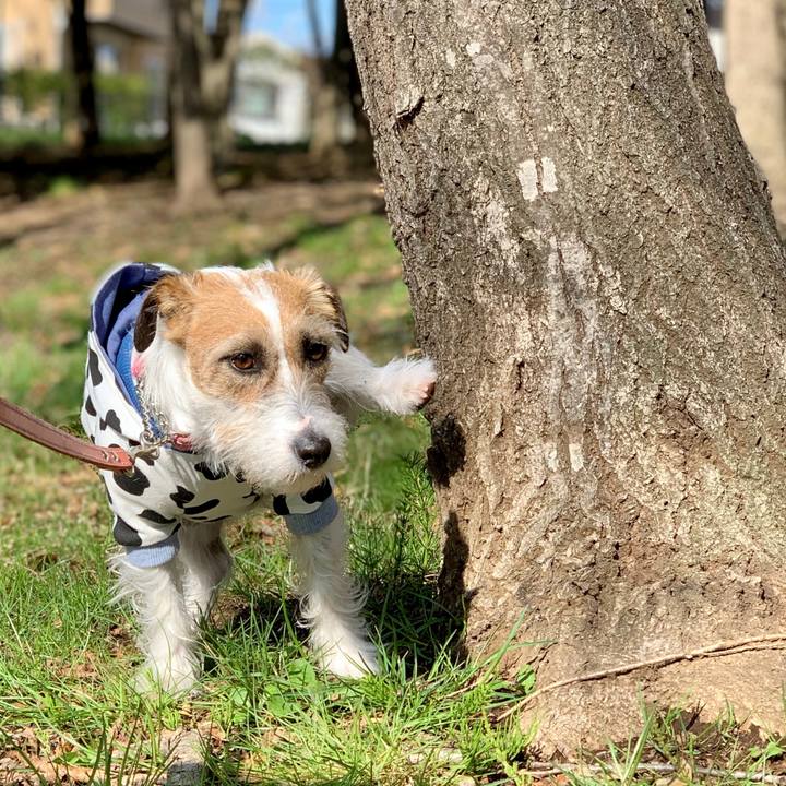 6d16450b 9a5d 42b4 b2ff 0f3df50d0d79 1616496318007