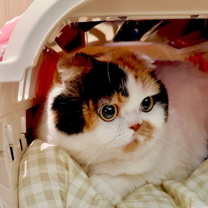 6d164ee4 0626 4931 ab28 298d7b6b4b0f 1716789553699