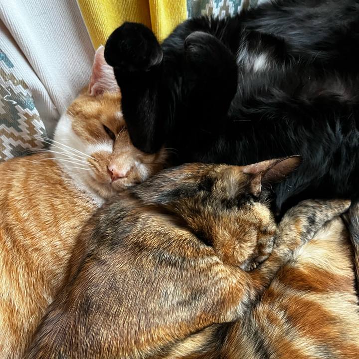 6d16a441 2ba9 4210 94e1 bfcdbb32ebfb 1704608308275