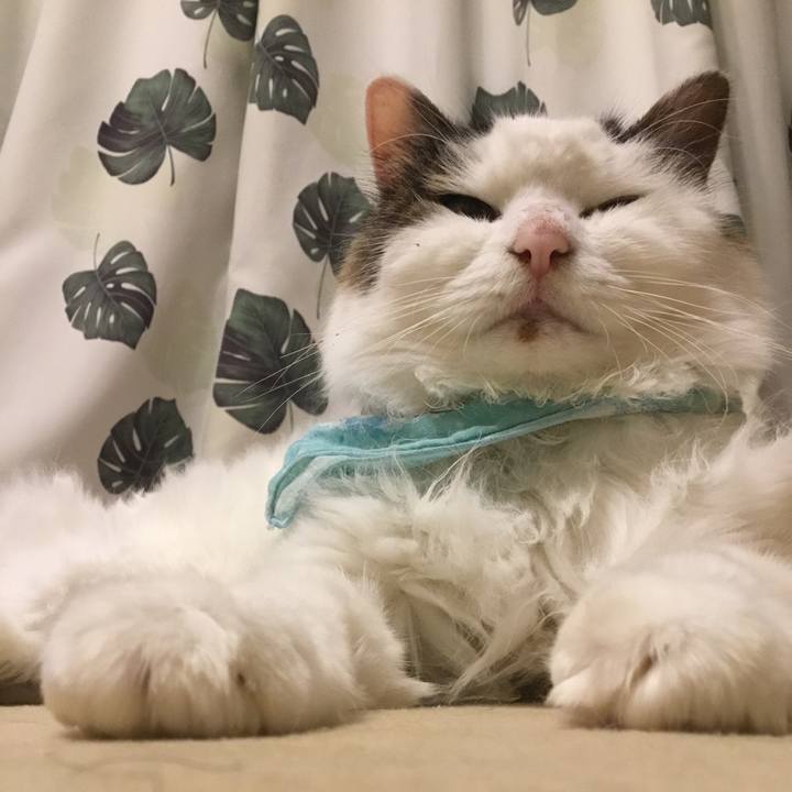 6d16bed6 b96e 42ee a140 690e1d2e1776 1575270357817