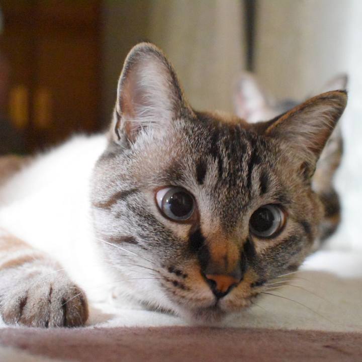 6d16f862 6609 4d6c 878e fd9e7abb2179 1526475827169