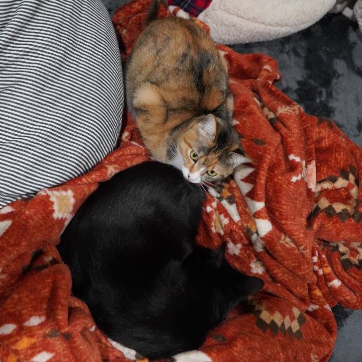 6d17131d 71c8 4a9b 999a 3cf209fc11e9 1610097800380