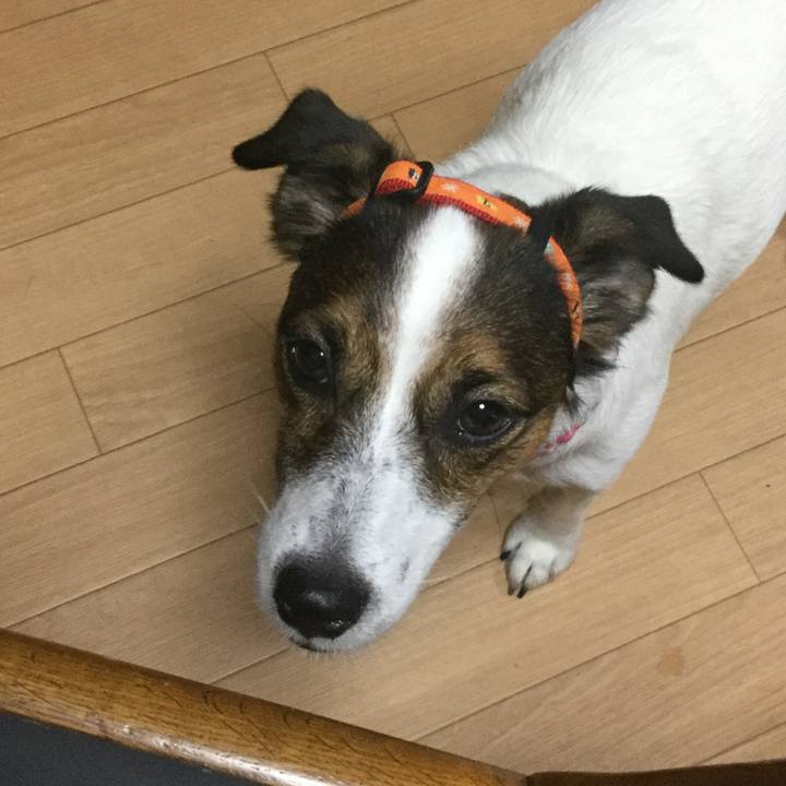 6d1724f4 ca52 4adc 8a93 1fc35073d869 1538819313554