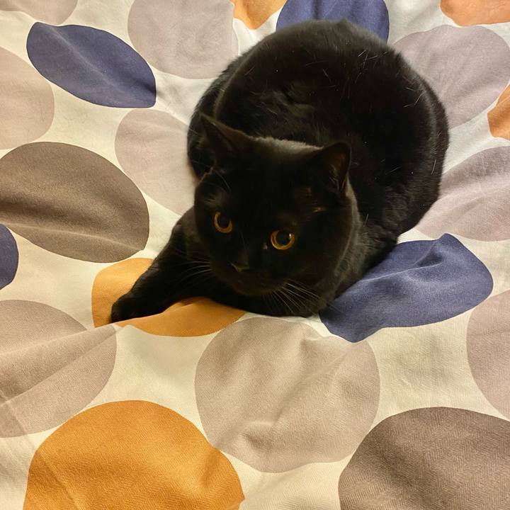 6d1731c4 116d 4fbd 9027 be875b886aa2 1773492272005