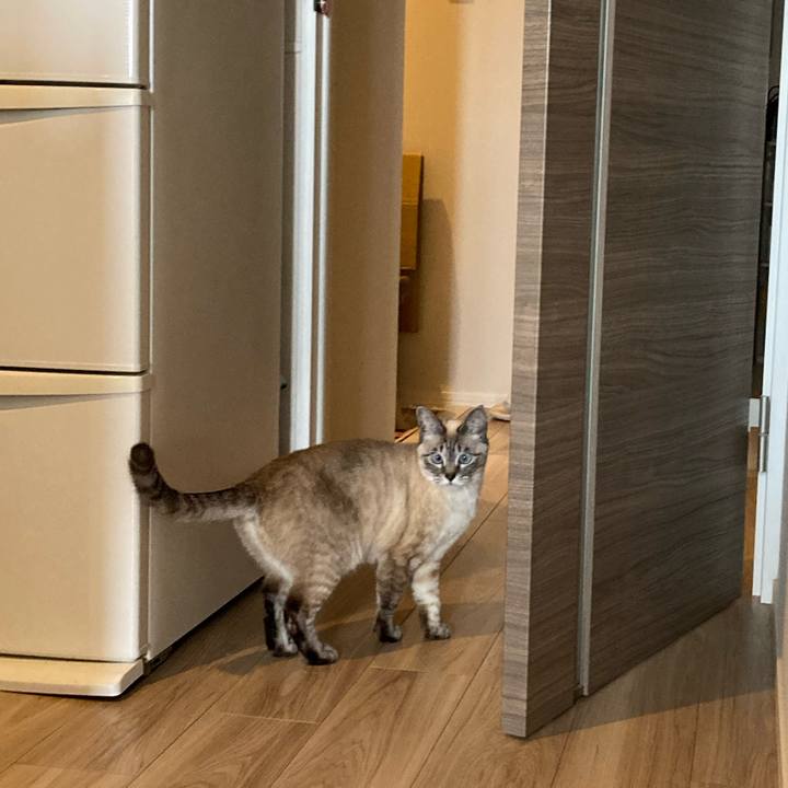 6d1765a0 bf17 4c59 adc5 6c7b592dfa59 1646093798372