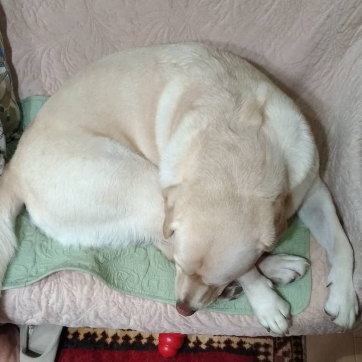 6d176de0 accf 40bc a9fc 4501995a45b4 1570621397393