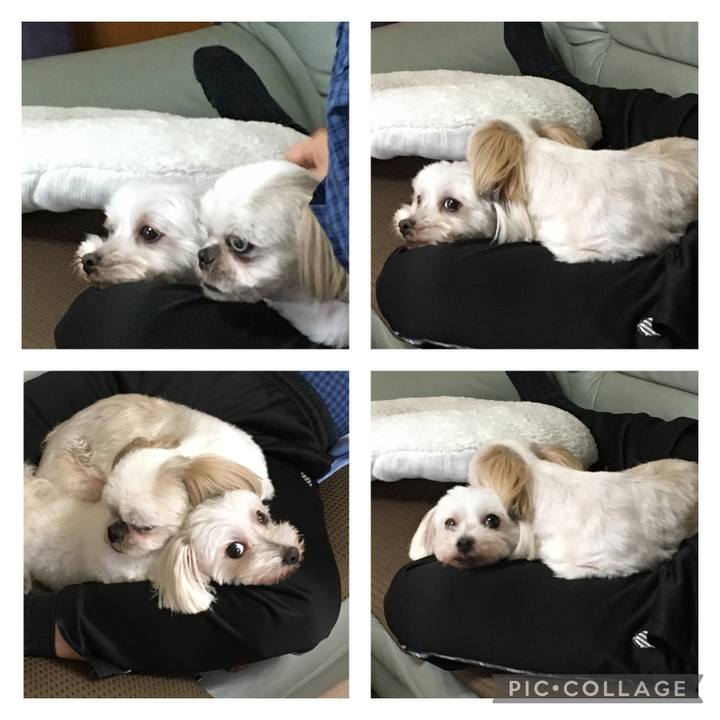 6d178b8d 980c 453a bb64 36636ddba53e 1628925959767