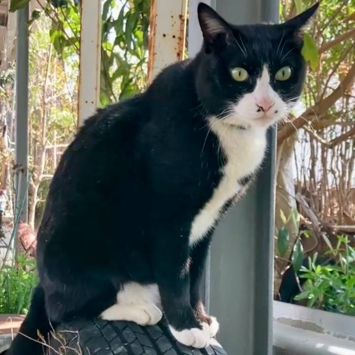 6d17c6fa 65a3 485c b634 e4295175bf40 1743904436850