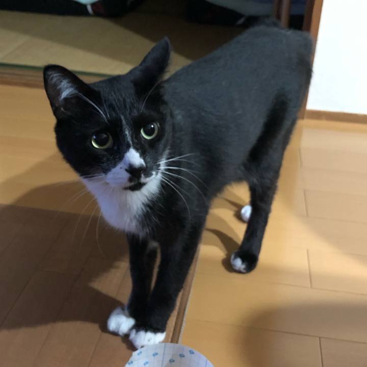 6d17ca4a d4d6 4b23 a45c cf355b72aa23 1567917913626