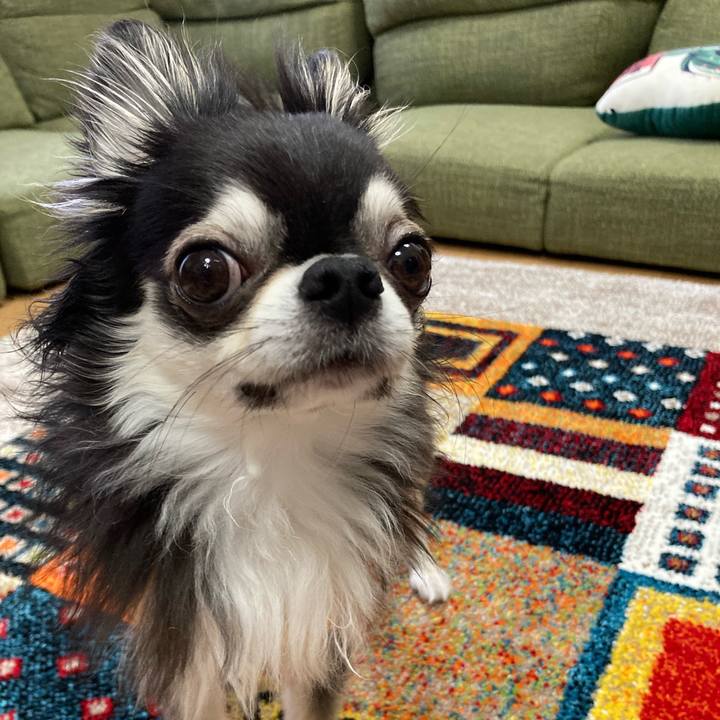 6d17d9e0 3c97 43c4 84a2 857aab7f6b3e 1681657292040