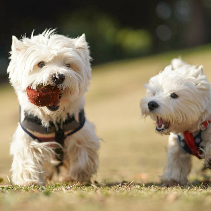 6d181c58 ad62 41ba 8f88 5879106651e8 1521169129518