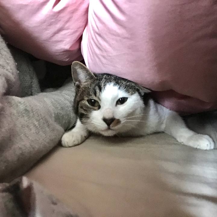 6d182b44 e572 42c2 94f8 dd2110f634b4 1519521910656