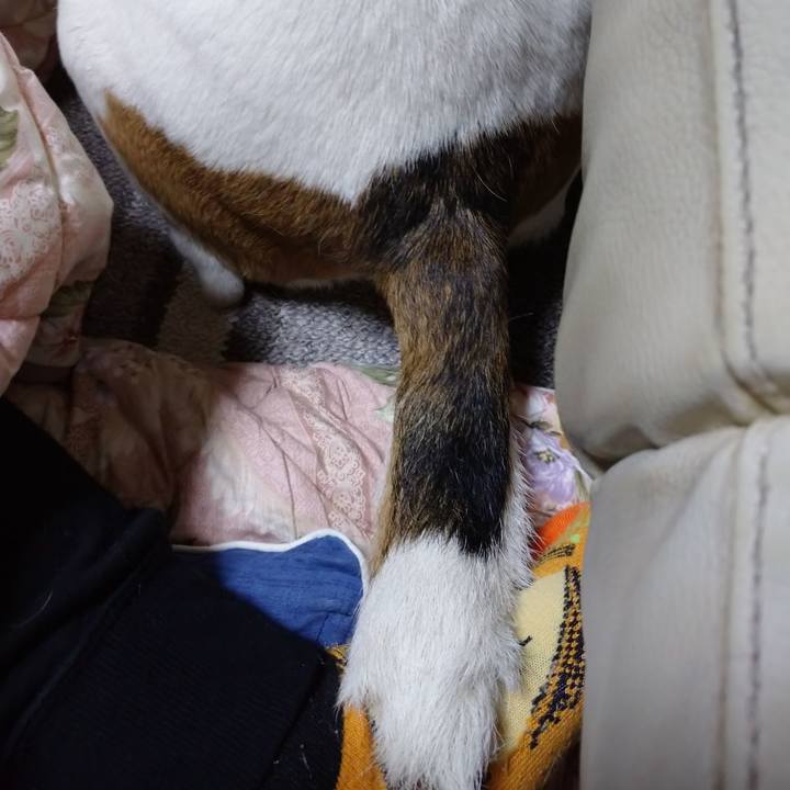 6d187488 ce30 4d5d a3a5 dce8c942d13b 1591011394280