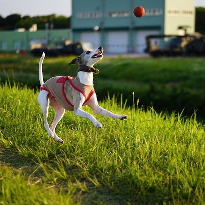 6d188bfb 036a 41b4 bca2 22adb614bc5e 1538043454287