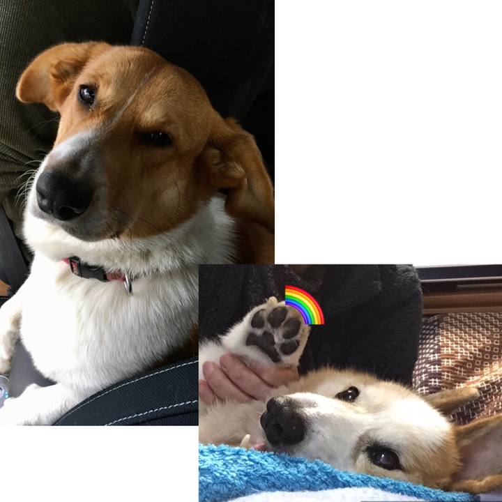 6d18907f 1fd6 4bf6 9dff 21da0e1ad938 1609390094478