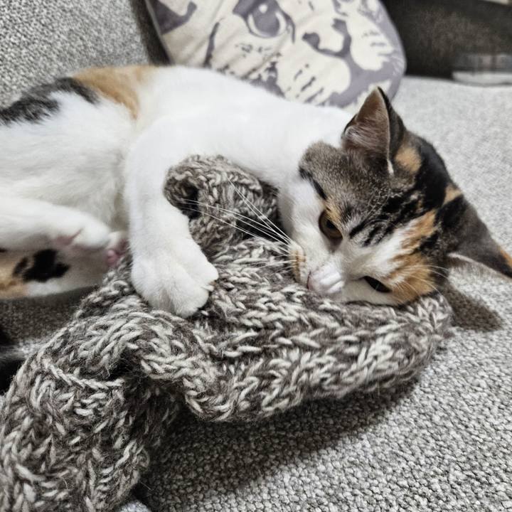 6d18af7f 04f8 4d42 8717 70924f15507d 1767059478300