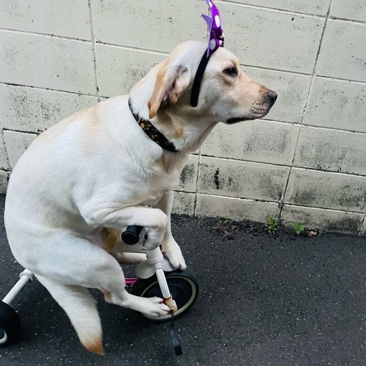 6d18c672 f19b 4e60 8956 b40a3c25067f 1654835225275