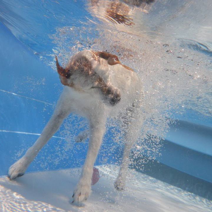 6d18d009 5ade 458a 9de9 274913e49221 1531658705157