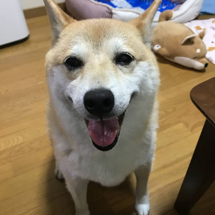 6d18d19a eed4 4bd8 abdd ab66e67335d1 1529645233667